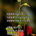 '우리의 삶! 진정한 의' 글에 포함된 이미지