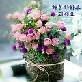 '3월들어 하루가 다르' 글에 포함된 이미지