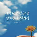 '오늘도 기도로 시작하' 글에 포함된 이미지