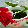 'ㆍ' 글에 포함된 이미지