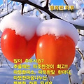 '출석요' 글에 포함된 이미지