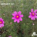 '흐린 가을아침에 출석' 글에 포함된 이미지