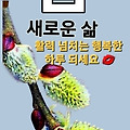 '.' 글에 포함된 이미지