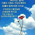 '전형적인 가을이네요.' 글에 포함된 이미지