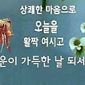 '.' 글에 포함된 이미지