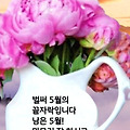 '출석합니다' 글에 포함된 이미지