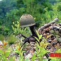 '6.25 그날을 잊지맙시' 글에 포함된 이미지