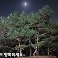 '.' 글에 포함된 이미지