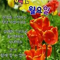 '출석합니다' 글에 포함된 이미지