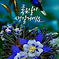 '출석합니다' 글에 포함된 이미지