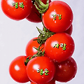 '태풍의 영향으로 바람' 글에 포함된 이미지