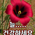 '출석요' 글에 포함된 이미지