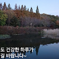 '.' 글에 포함된 이미지
