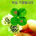 '' 글에 포함된 이미지
