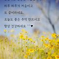 '출석합니다' 글에 포함된 이미지