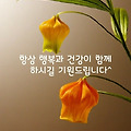 '.' 글에 포함된 이미지