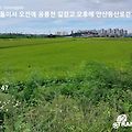 '되게 쎈!!! 태풍이 온' 글에 포함된 이미지