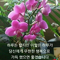 '출석 합니다 행복가득' 글에 포함된 이미지