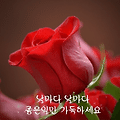 '💕 햇살좋은 아침입' 글에 포함된 이미지