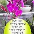 '출석 합니다 기분좋은' 글에 포함된 이미지