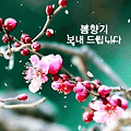 '출석 합니다 즐거운 ' 글에 포함된 이미지