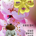 '어떤 일을 할 때는 어' 글에 포함된 이미지