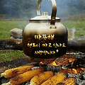 '출석요' 글에 포함된 이미지