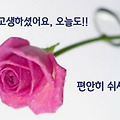 '출석합니다' 글에 포함된 이미지