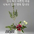 '^' 글에 포함된 이미지