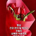 '출석합니다' 글에 포함된 이미지