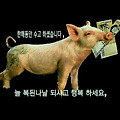 '희망찬 기해년(己亥年' 글에 포함된 이미지
