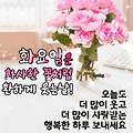 '출석합니다 ' 글에 포함된 이미지