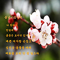 '입춘이 지났는데 봄을' 글에 포함된 이미지