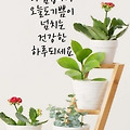 '출석합니다 ' 글에 포함된 이미지
