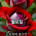 '출석합니다 ' 글에 포함된 이미지