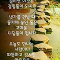 '출석합니다 ' 글에 포함된 이미지
