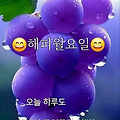 '출석합니다 ' 글에 포함된 이미지
