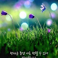 '출석합니다 ' 글에 포함된 이미지