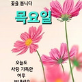 '출석합니다 ' 글에 포함된 이미지