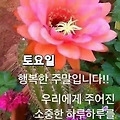 '출석합니다 ' 글에 포함된 이미지