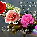 '공기도 좋고 기분도 ' 글에 포함된 이미지