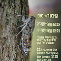 '출석합니다 ' 글에 포함된 이미지
