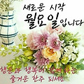 '비가 내린 월요일 아' 글에 포함된 이미지