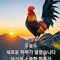'출석합니다 ' 글에 포함된 이미지
