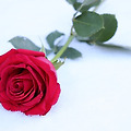'온 세상이 하얀 수요' 글에 포함된 이미지