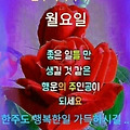 '출석합니다 ' 글에 포함된 이미지