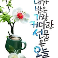 '출석합니다 ' 글에 포함된 이미지