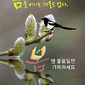 '봄기운이 피부로 느껴' 글에 포함된 이미지