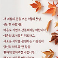 '출석합니다 ' 글에 포함된 이미지