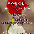 '길가에 딍구는 붉은낙' 글에 포함된 이미지